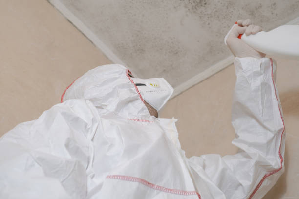 Best Mold Removal for HVAC Installations  in Elsmere, DE